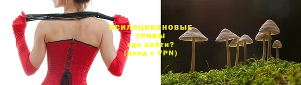 прущая мука Арсеньев
