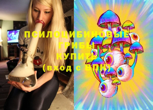 прущая мука Арсеньев